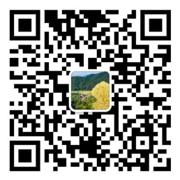 彩神lll网页版
